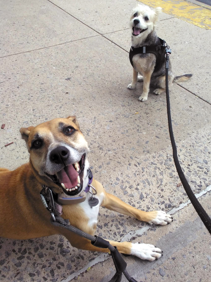 mila Lila having fun